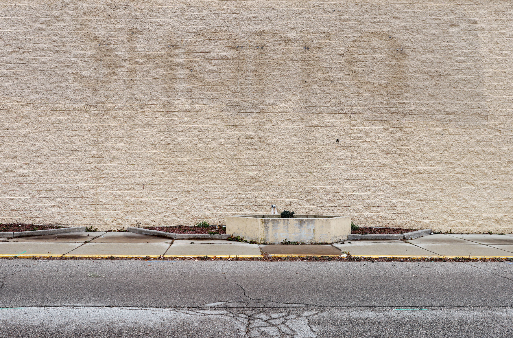 JVG_211124_GROCERY05